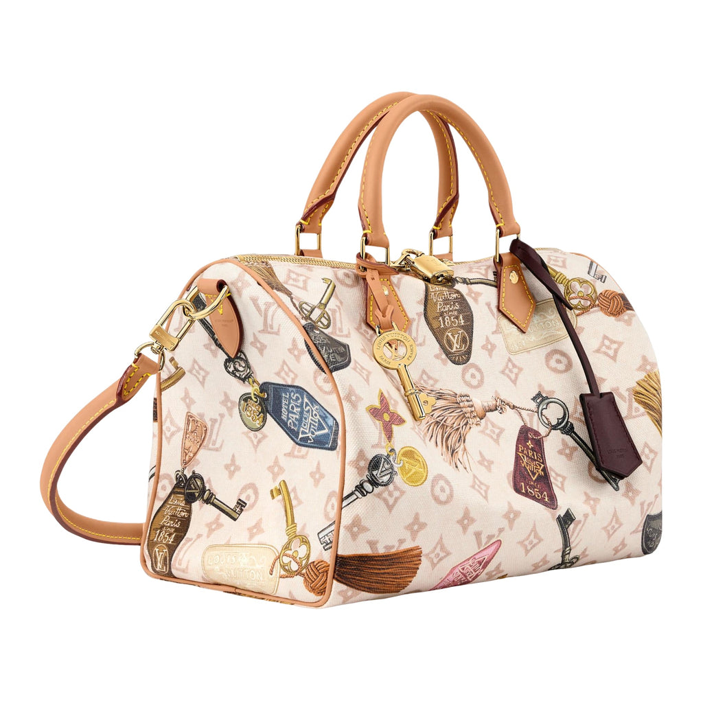 LOUIS VUITTON Speedy 30 Soft 'Multi-Color' M29377