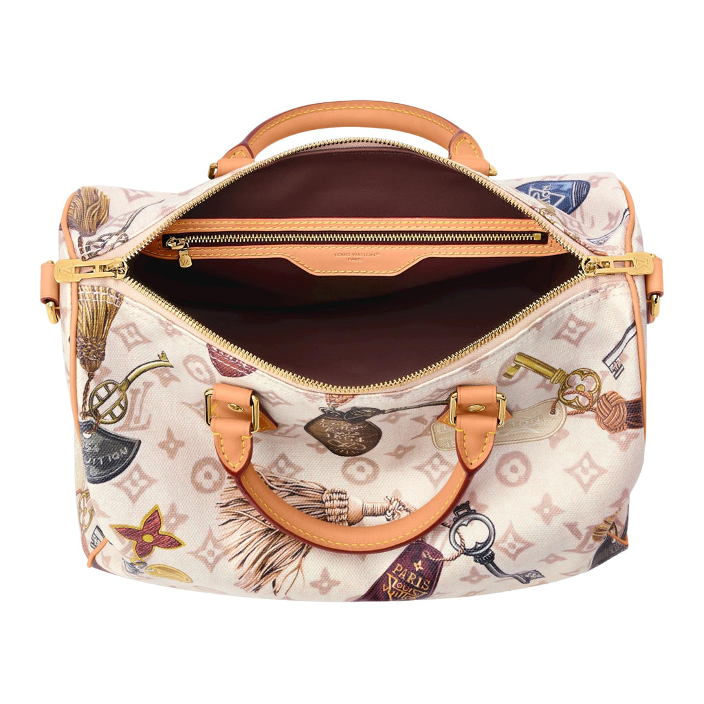 LOUIS VUITTON Speedy 30 Soft 'Multi-Color' M29377