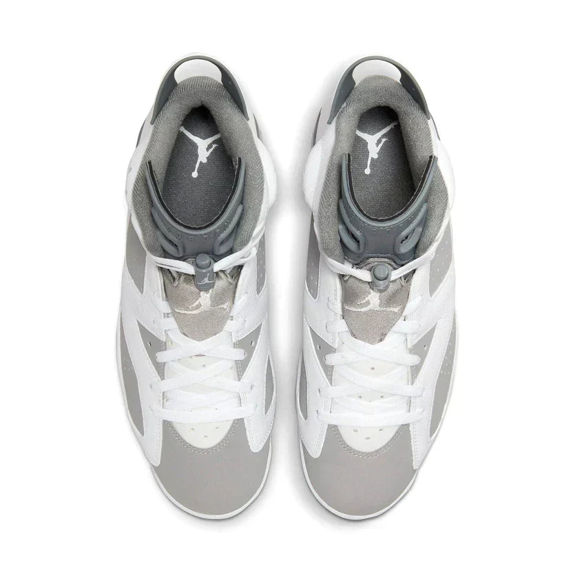 Air Jordan 6 'Cool Grey'